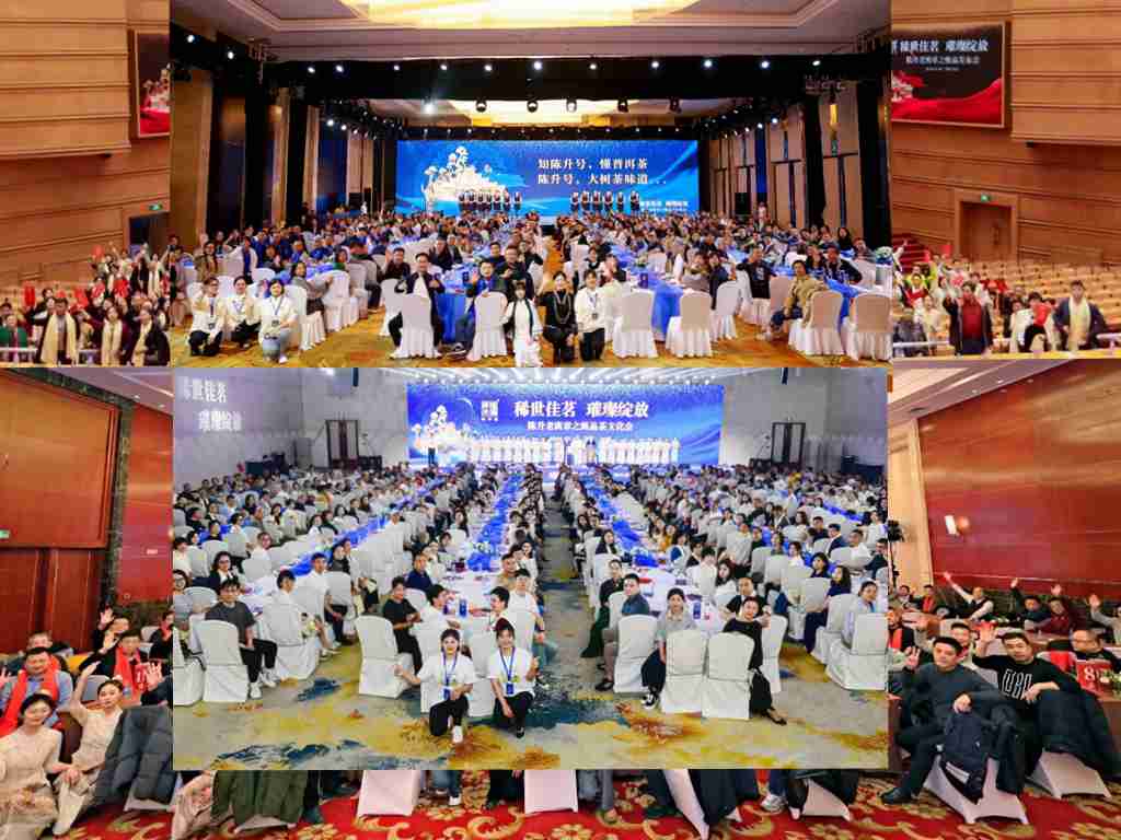 稀世佳茗“陳升老班章之甄品”，2024燃爆全國(guó)的茶文化盛宴